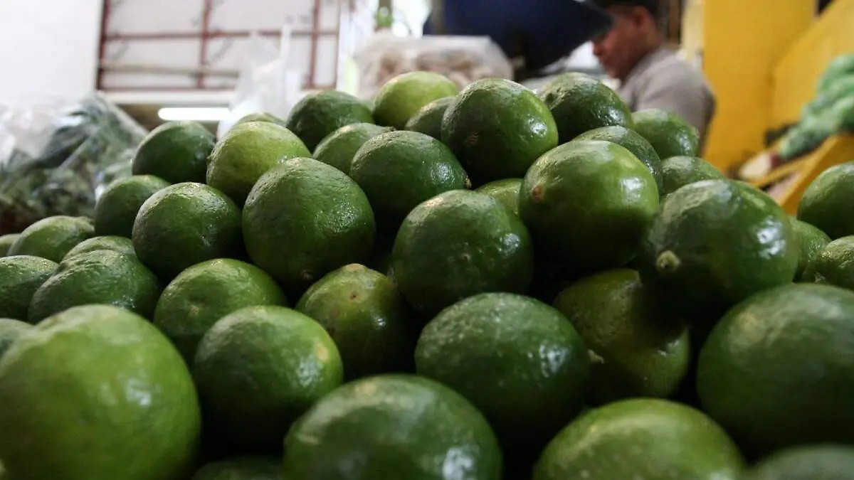 Produccion de Limon el oro verde de Tamaulipas